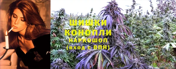 хмурый Богородск