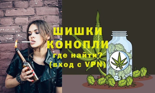 mdpv Богданович