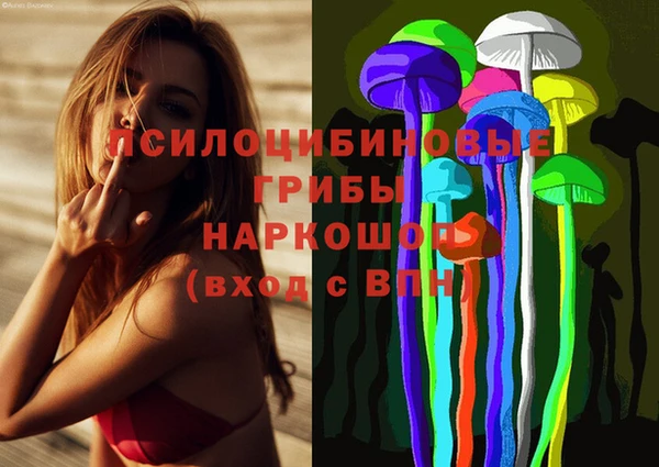 соль ск Белокуриха