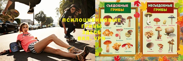 mdpv Богданович