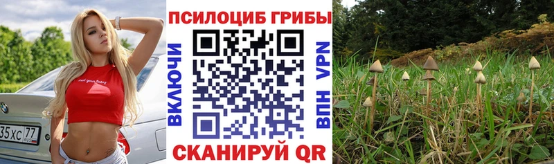 Псилоцибиновые грибы Magic Shrooms  как найти наркотики  Бородино 